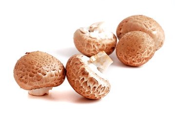 champignons