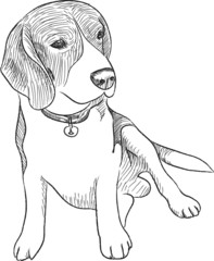 BEAGLE SKETCH VECTOR FILE