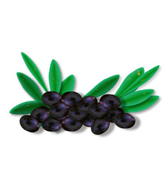 Few olives with leaves