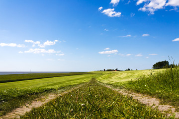 Obraz premium Pathway on top of dike leading to the horizon