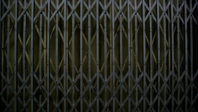 Factory Elevator Gate