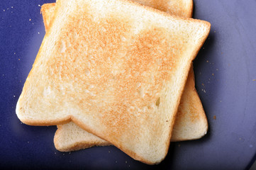Two pieces of toast are on blue dish isolated on white backgroun