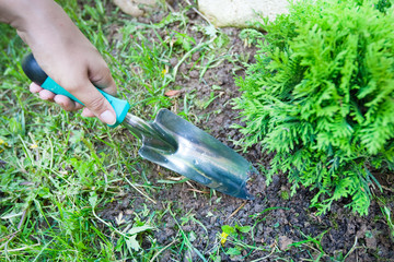 Women hand hold trowel and digging