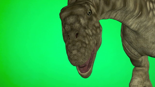 Dinosaur Argentinosaurus Head Closeup