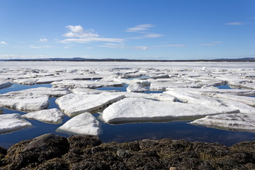 Sea ice is destroyed in the spring