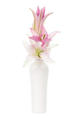 lily in a vase