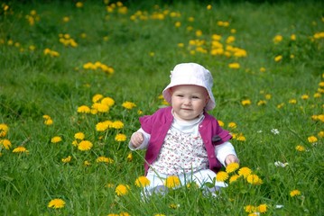Cute child sitting within flowers