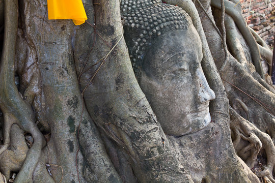 Head of The Sand Stone Buddha Image