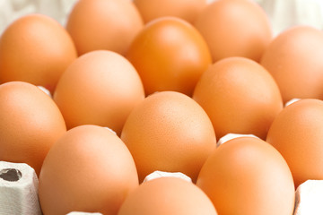 eggs in the package  isolated on a white