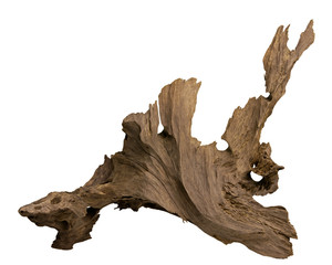 Driftwood for aquarium