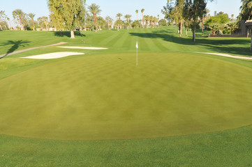Golf green with flag in hole
