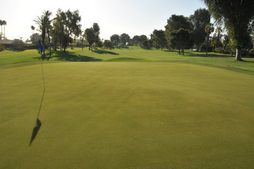 Golf green with flag in hole