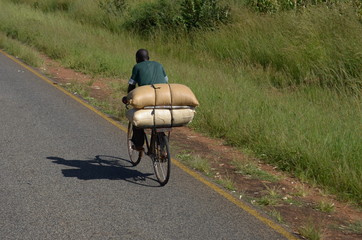 Africa