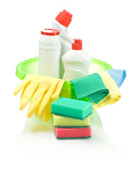 supplies for cleaning in green basin