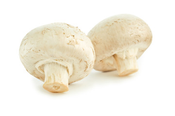two champignons isolated