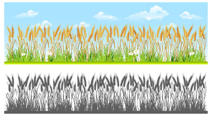 Landscape with wheat