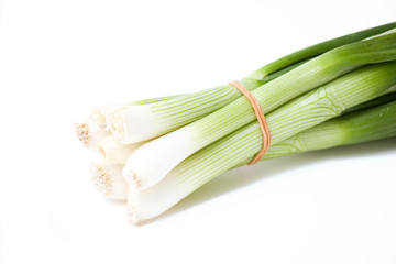 tied spring onion