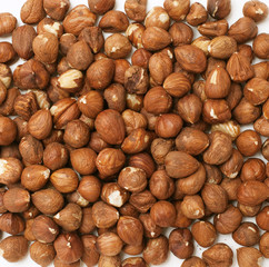 hazelnuts background