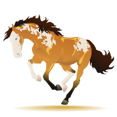 Vector running paint horse on white