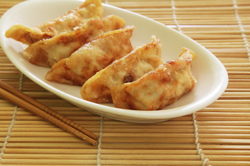 Fried Dumplings