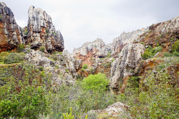 CERRO DEL HIERRO,SEVILLA