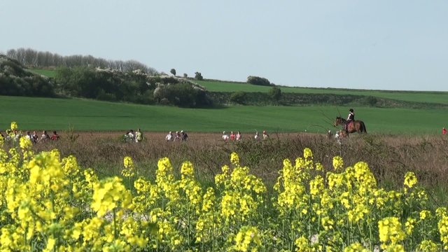 PROMENADE EN CAMPAGNE