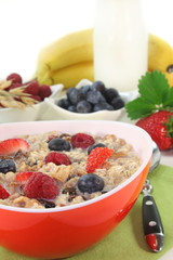 Früchte-Müsli