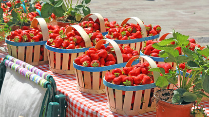 Fraises du marché