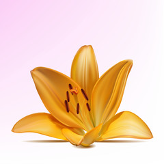 Photo-realistic vector beautiful yellow lily