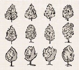 Tree set. Vector.