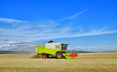 Obraz premium cosechadora