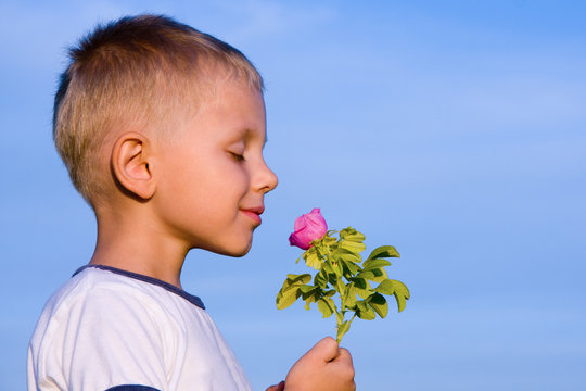 Boy smelling rose flower