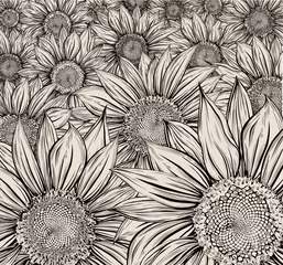 Papier Peint photo Lavable Fleurs noir et blanc Champ de tournesol