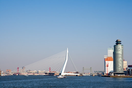 Rotterdam Erasmus Bridge