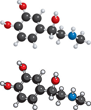 Adrenaline (adrenalin) Molecule