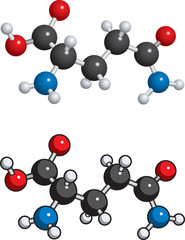 Glutamine molecule