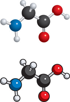 Glycine molecule