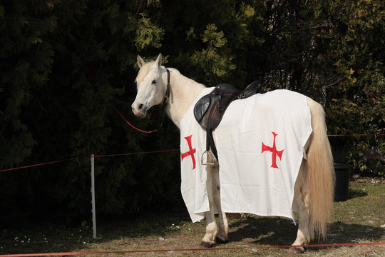 cheval des templiers