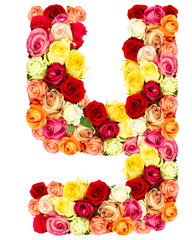 Y, roses flower alphabet