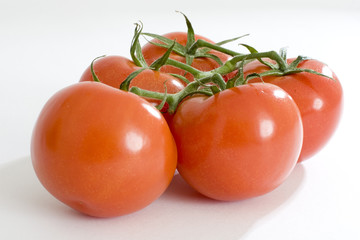 Tomaten