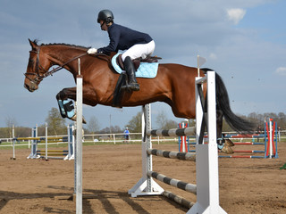 Horse jump