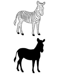 Zebra Silhouette