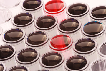 Biological life science experiment