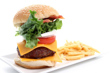 Hamburger and Fries