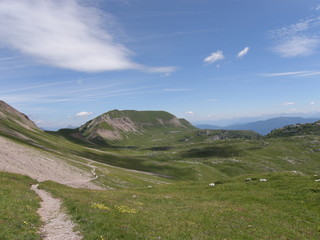 Fototapeta premium Piana della Nana, Val di non - Trentino (italy)