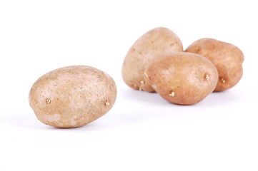 fresh potato