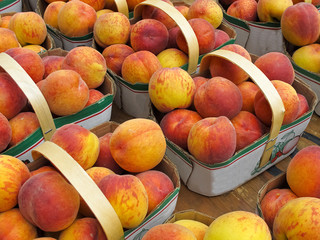 Organic Peaches at Farmers Market