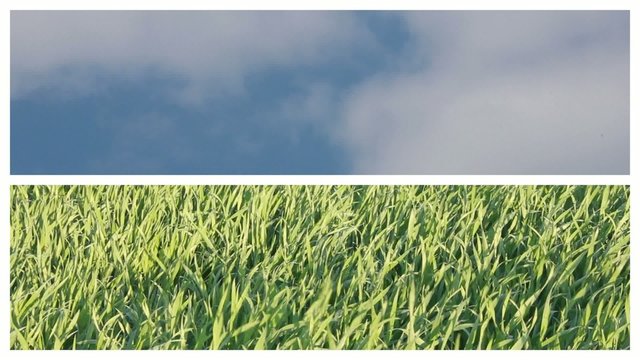 Collage Wolken Wiese im Wind als Video