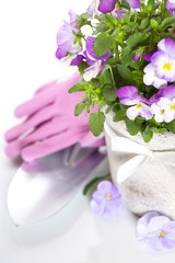 garden tools