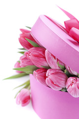 Obraz premium Pink tulips